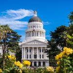 california employment law
